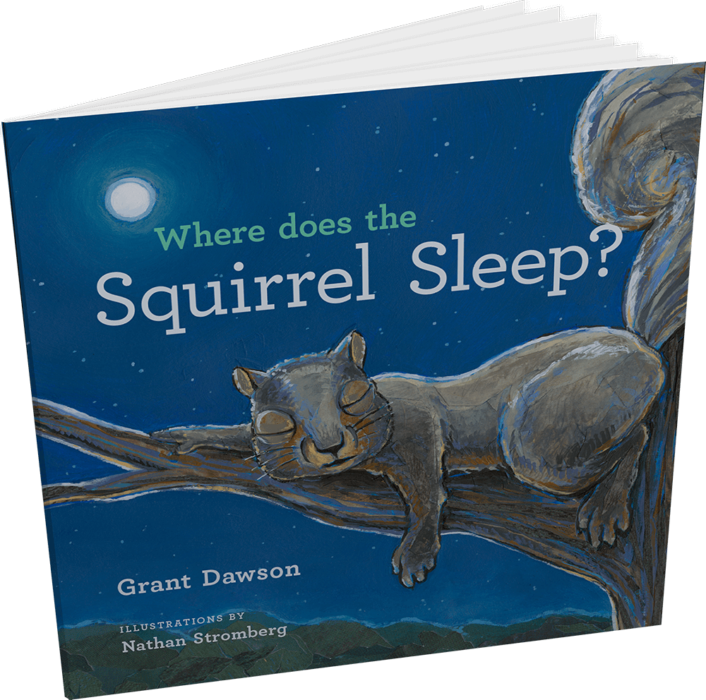 Where does the Squirrel Sleep Book Cover